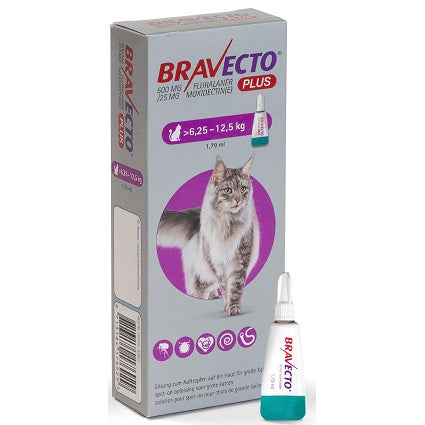 Bravecto Plus for Cats- Large (6.25-12.5kg)