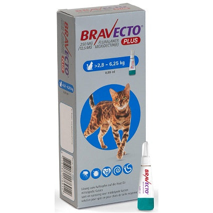Bravecto Plus for Cats- Medium (2.8-6.25kg)