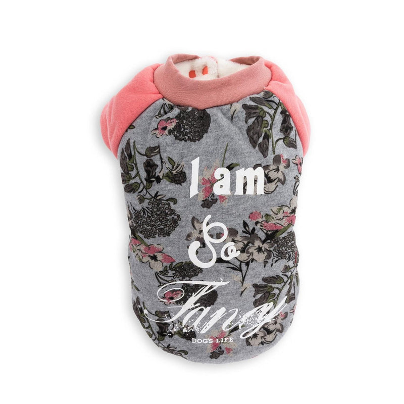 DL Clothing - I am So Fancy Raglan Sweatshirt