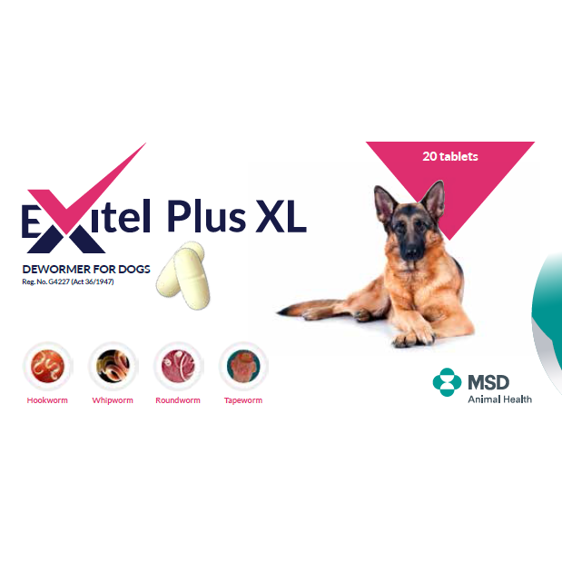 Exitel PlusXL Dewormer for Dogs