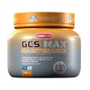 _GCS-Max Maintenance