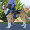 Petsafe EasySport Dog Harness Red