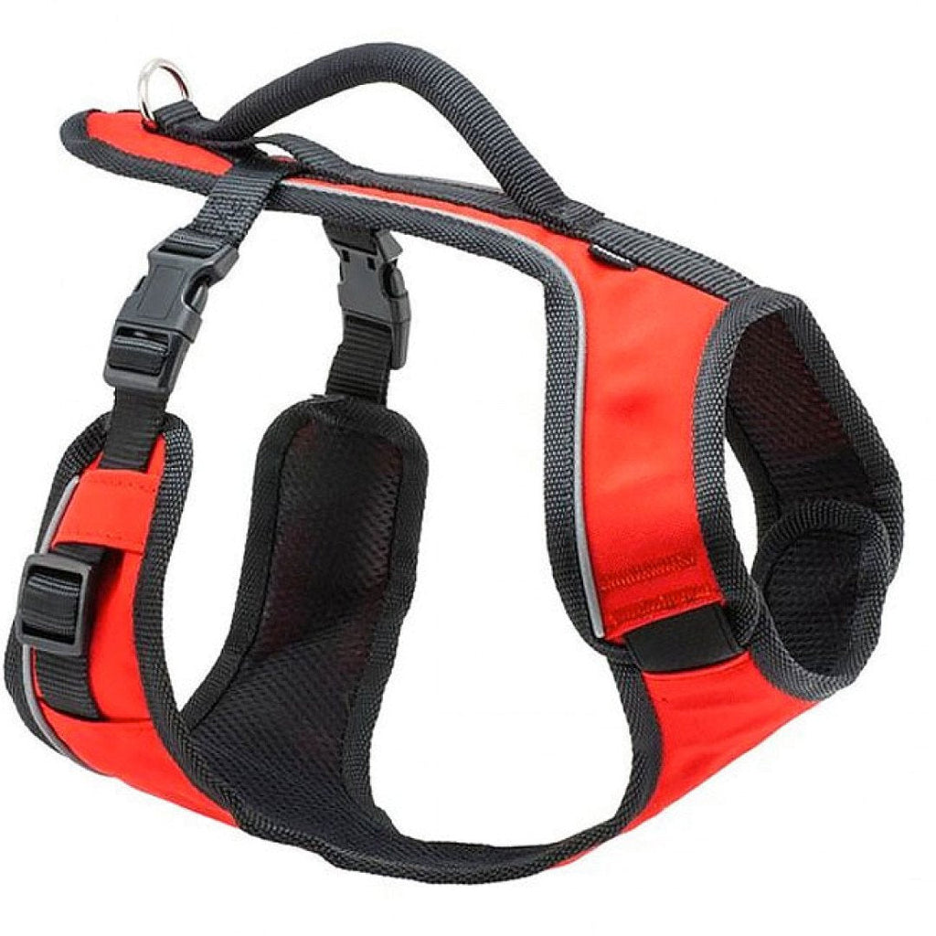 Petsafe EasySport Dog Harness Red