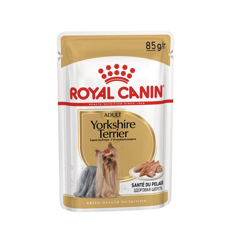 Royal Canin Breed Specific Wet Dog Food - Yorkshire Terrier Adult Pouches (Box of 12)