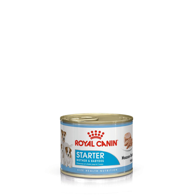 Royal Canin Dog Wet Maintenance Starter Mousse (Tray of 12 )