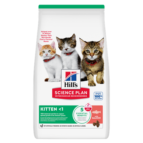 Hill's Cat Kitten Salmon