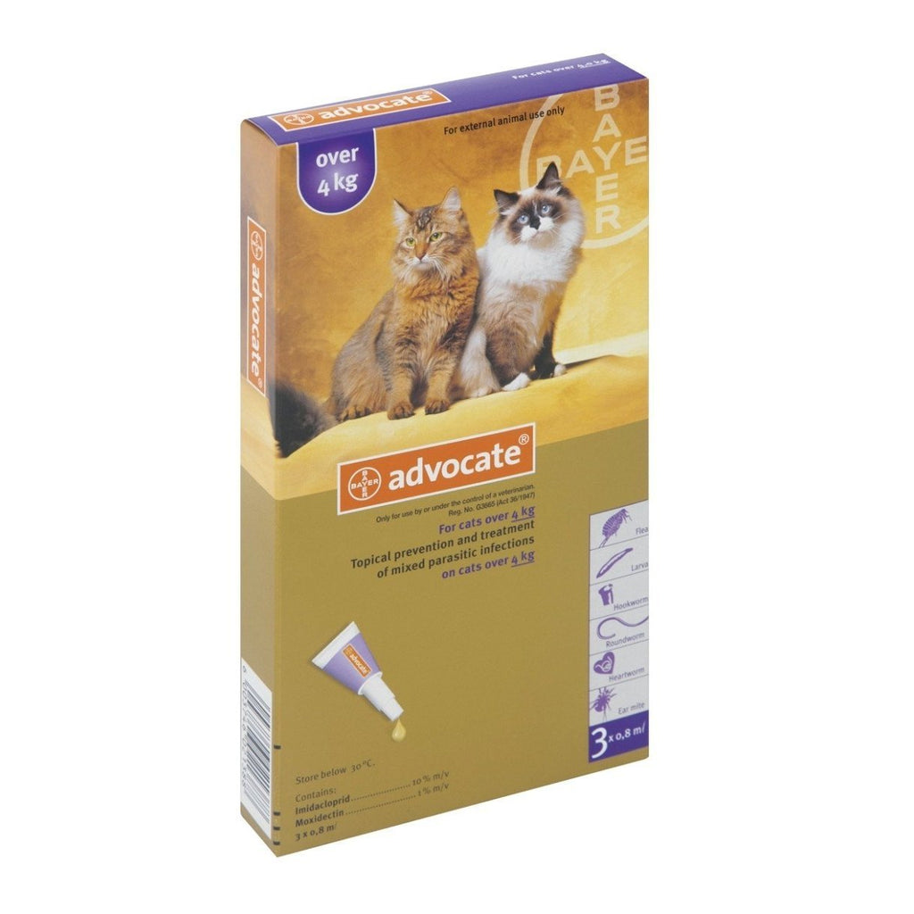 Advocate Cats 4kg-8kg Purple (Box of 3)