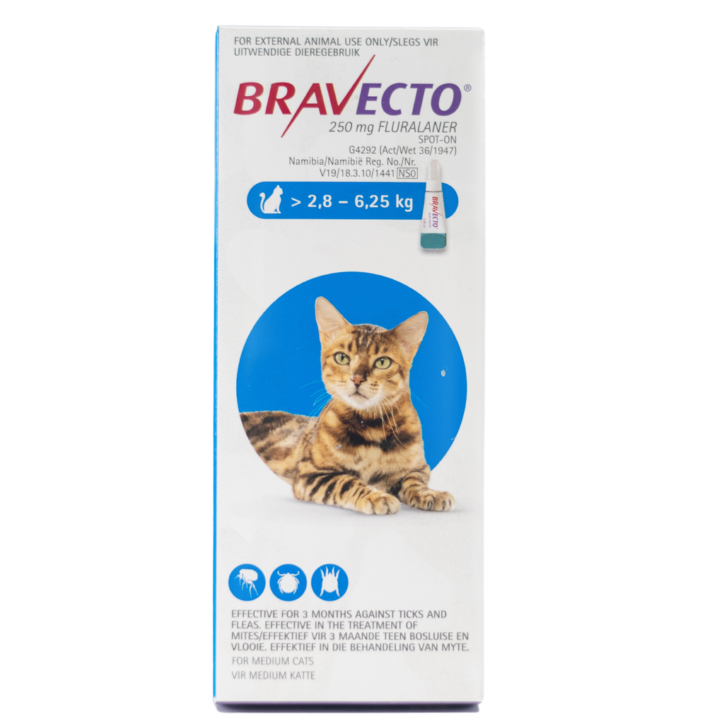 Bravecto Spot On Cat- Medium (2.8-6.25kg)