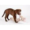 Charming Pets Longidudes Rabbit