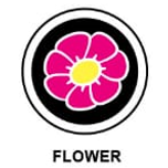 Instant Tag - Flower