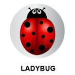 Instant Tag - Ladybug
