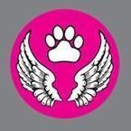 Instant Tag - Wings Pink