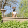 PetSafe Spray Bark Control Collar