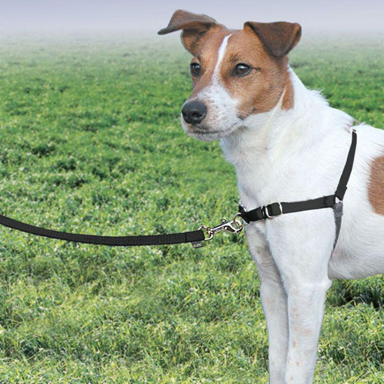 Petsafe Easy Walk Dog Harness Black