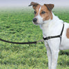 Petsafe Easy Walk Dog Harness Black