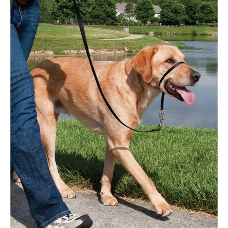 Petsafe Easy Walk Dog Headcollar/Headharness - Black