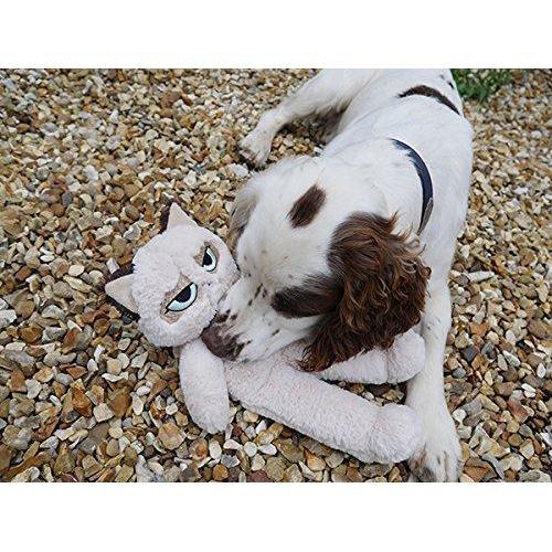 _Rosewood Grumpy Cat Floppy Plush Dog Toy