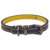 Rosewood Joules - Navy Leather Collar