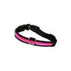 Rosewood Premium Flashing Collar - Pink