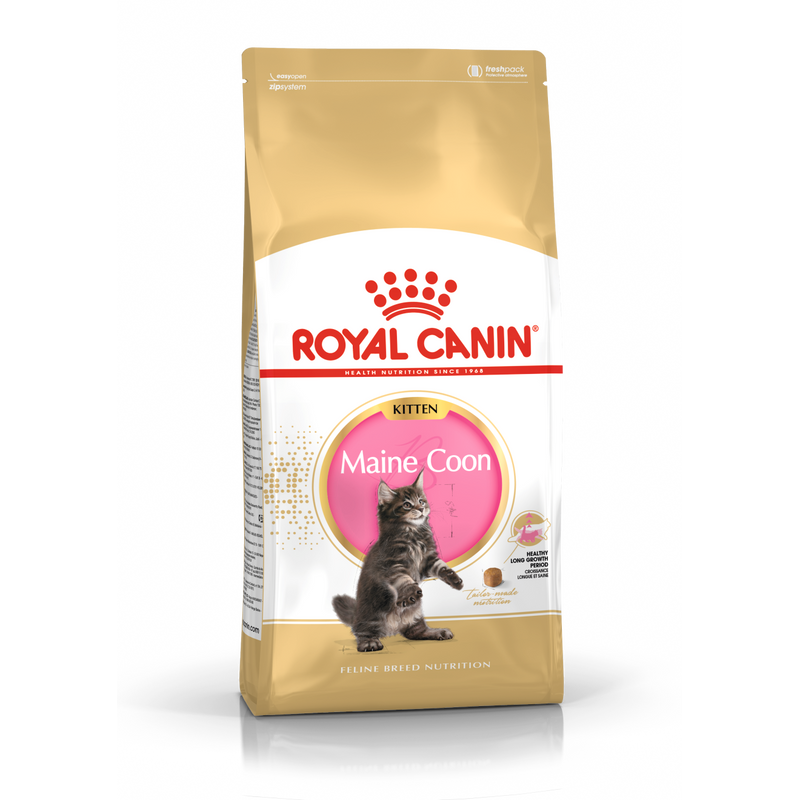 Royal Canin Breed Specific Cat Food - Feline Kitten Maine Coon