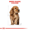 Royal Canin Breed Specific Puppy Food - Cocker Spaniel Puppy
