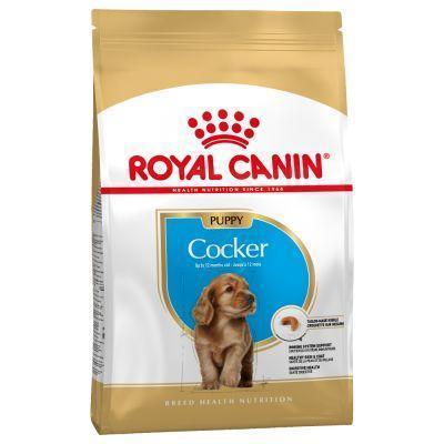 Royal Canin Breed Specific Puppy Food - Cocker Spaniel Puppy