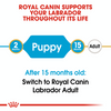 Royal Canin Breed Specific Puppy Food - Labrador Retriever Puppy