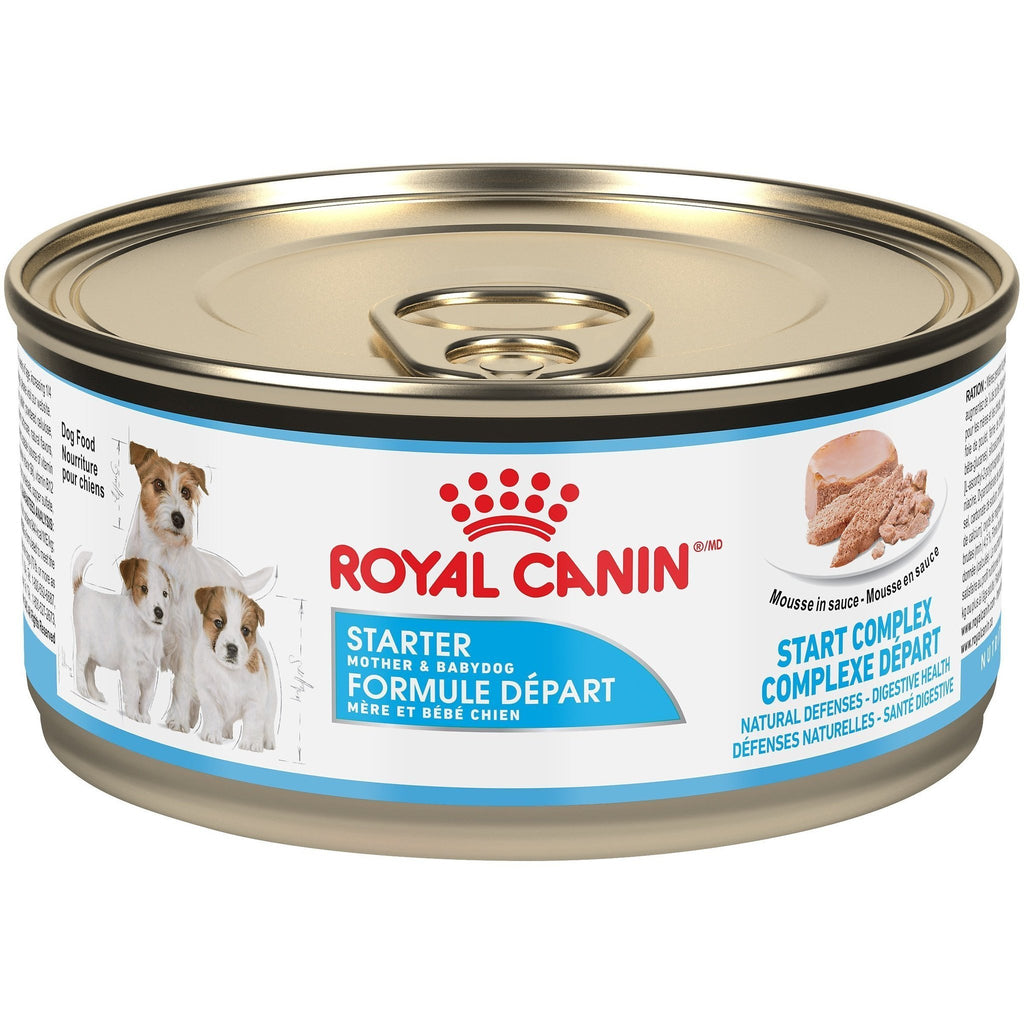 Royal Canin Dog Wet Maintenance Starter Mousse (195g)