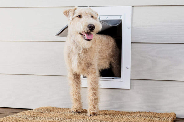 Choosing A Pet Door For Your Dog