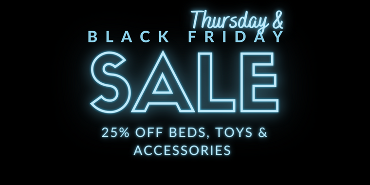 Black Friday Sale 2020