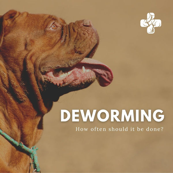 Deworming, how often should it be done?