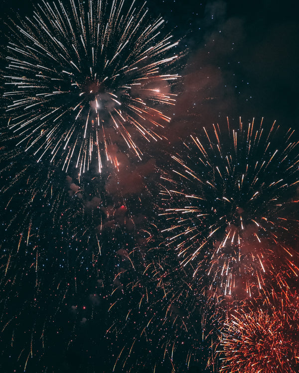 How to prepare your pets for fireworks
