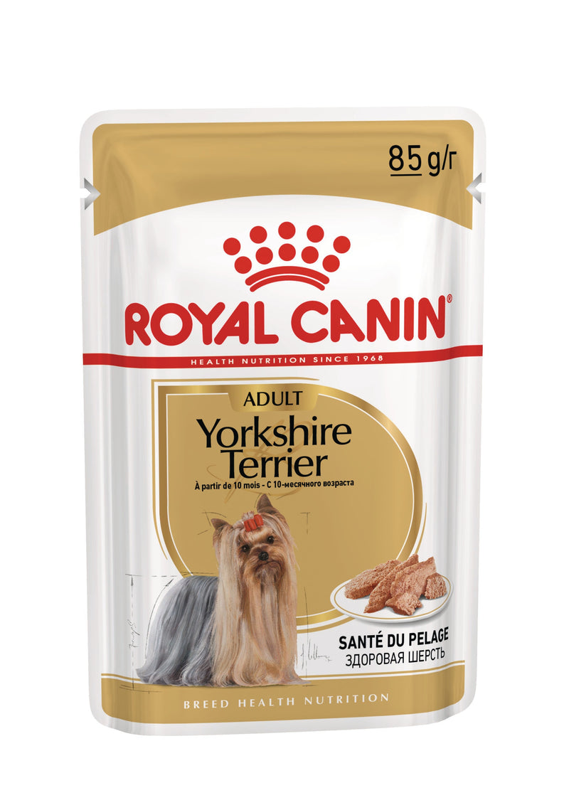 Royal Canin Breed Specific Wet Dog Food - Yorkshire Terrier Adult Pouches (Box of 12)