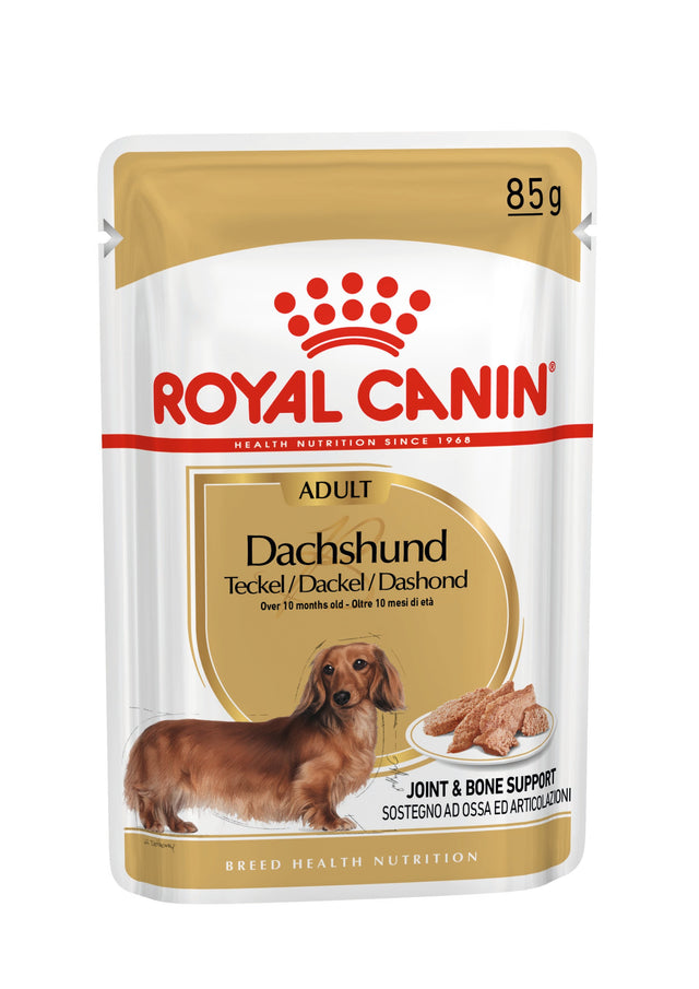 Royal Canin Breed Specific Wet Dog Food - Dachshund Adult Pouch - Single