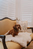 Huntlea Genuine Sheepskin Rug