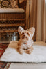 Huntlea Genuine Sheep Skin Dog Mat