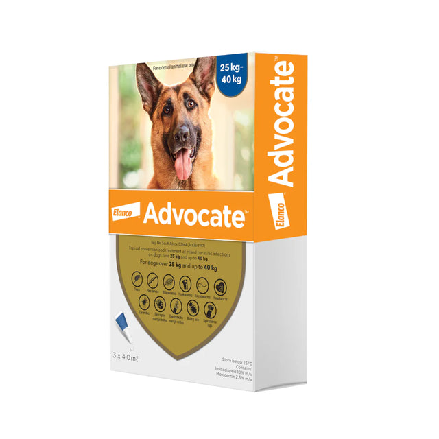 Advocate Dogs 25kg-40kg Navy (Box of 3)