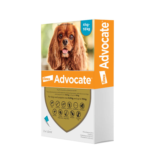 Advocate Dogs 4-10kg Turq (Box of 3)