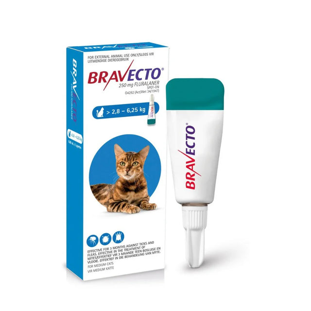 Bravecto Spot On Cat- Medium (2.8-6.25kg)