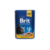 Brit Premium Cat Pouch with Salmon & Trout - Wet Cat Food