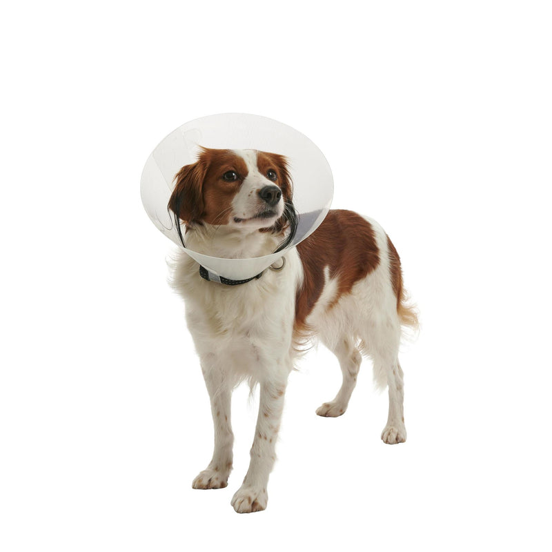 Buster Clic Collar (Cone)