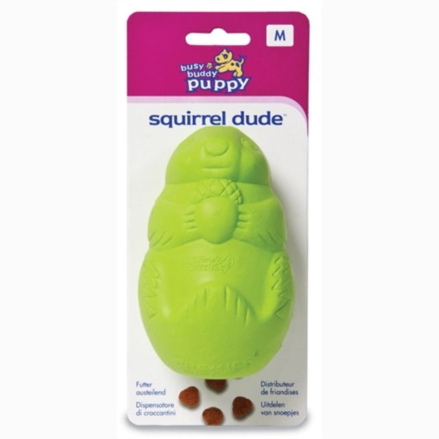 _Busy Buddy Puppy Squirrel Dude - (D)