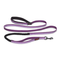 COA Halti Active Bungee Lead - Purple