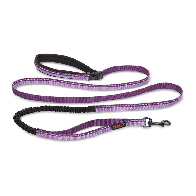 COA Halti Active Bungee Lead - Purple