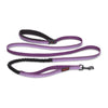 COA Halti Active Bungee Lead - Purple