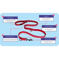 COA Halti Double-Ended Versatile Lead - Blue