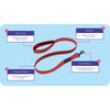 COA Halti Essential Lead - Red