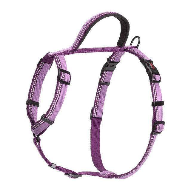 COA Halti Walking Harness with Control Handle - Purple