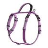 COA Halti Walking Harness with Control Handle - Purple