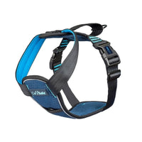 COA Harness - Carsafe Crash-Tested Harness